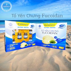 YẾN CHƯNG LỐC 6